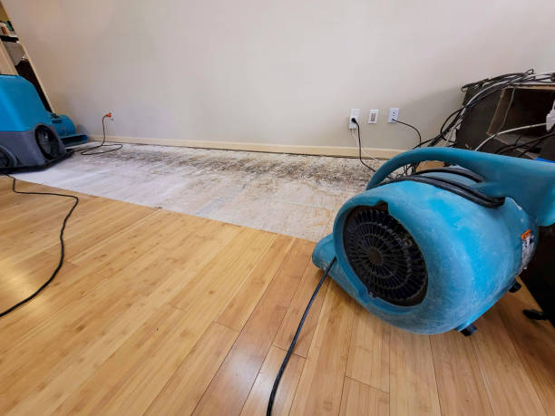 Professional Water Damage Repair technician working in Rochester, IN